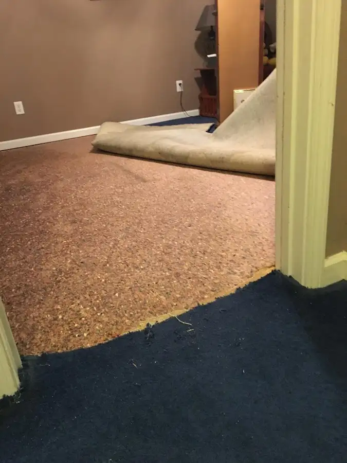 Carpet pad removal revealing water damage during Drying & Dehumidification in Issaquah