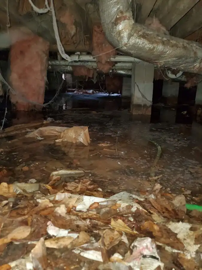 Crawl space flood assessment for Leak Detection & Repair in Issaquah