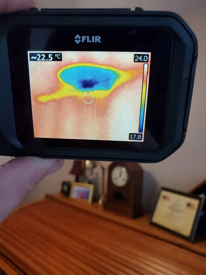 Thermal imaging inspection for water damage in Issaquah