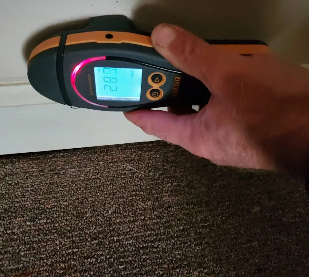 Moisture detection at baseboard during Burst Pipe Cleanup in Issaquah
